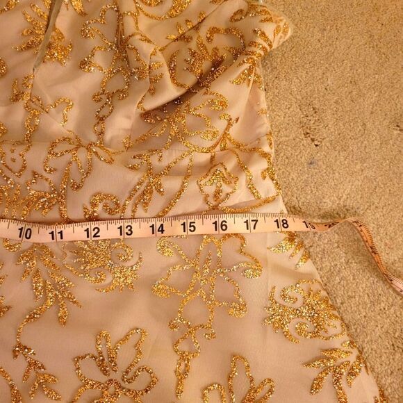 Gorgeous 15 Roses pink dress with gold overlay design NWT - Picture 7 of 10